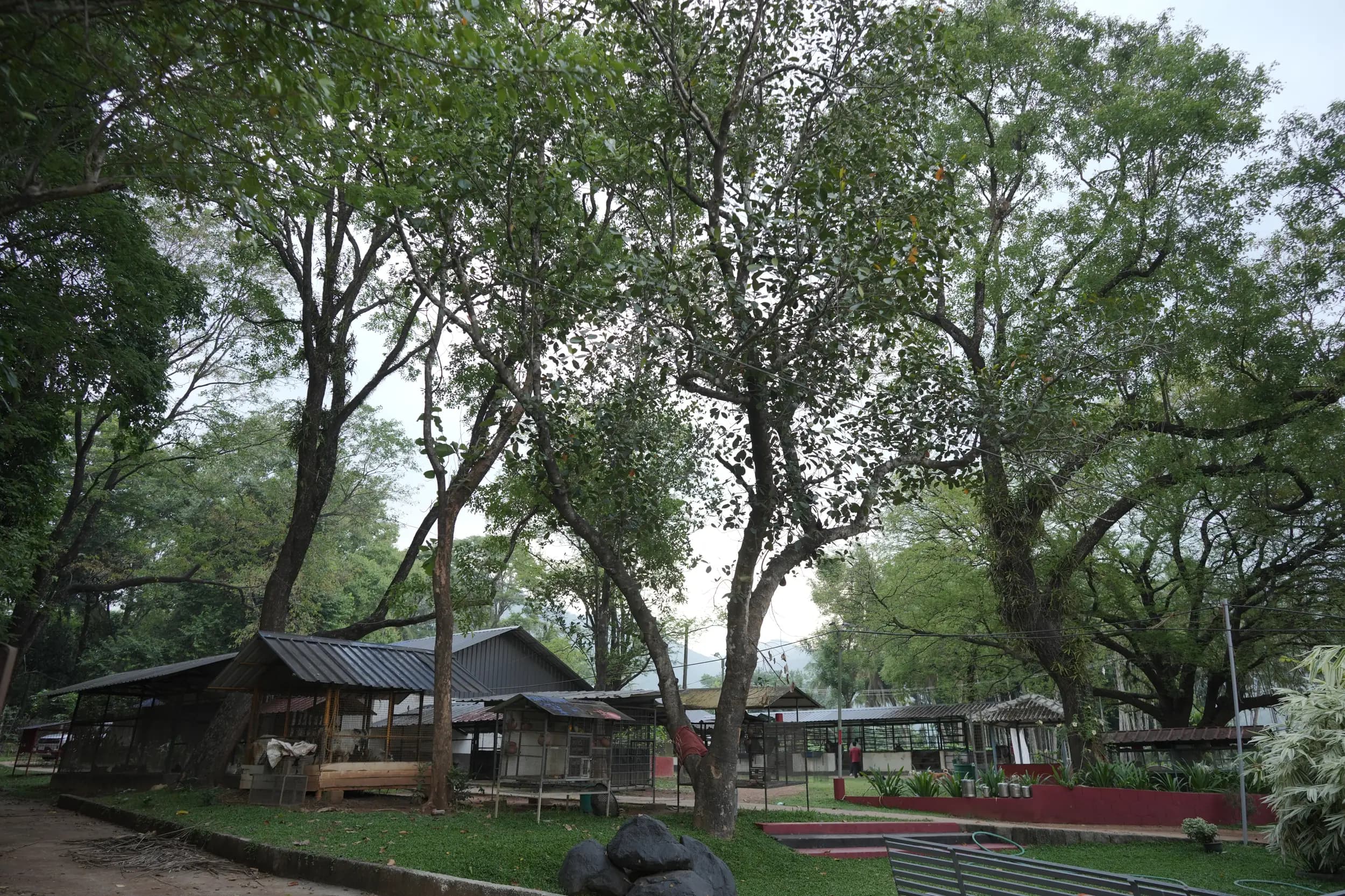 Green Spaces, Clear Minds